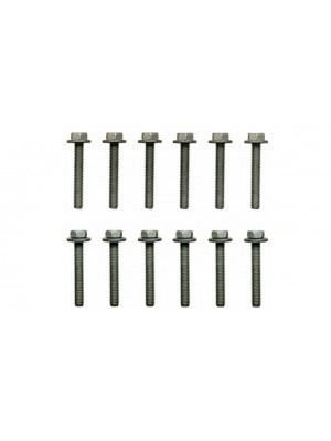 Fel-Pro ES72169 Intake Manifold Bolt Set