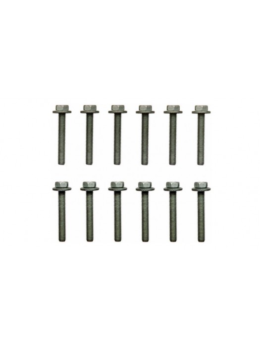 Fel-Pro ES72169 Intake Manifold Bolt Set